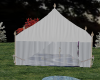 Wedding Tent B/carpet