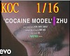 ZHU cocaine model