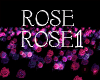 DJ Rose