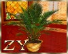 ZY: Mosque Plant