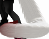 NT - Kitten Tail