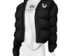 𝓢𝓖 perfect puffer5