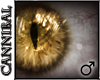 Golden Cat's Eye [M]