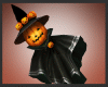 Halloween Witch Pet
