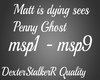 Matt sees Penny Ghost