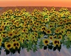 ^ SunFlower Animated