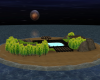 party beach