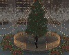 *Christmas City Square*