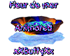 Fleur de mer