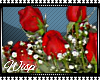 Red Roses and Vase