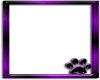 purple*black kitty frame