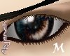 [apj] eye MEarth M