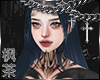 冯 Willow Xanh