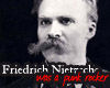 F. Nietzsche was a punk