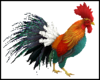 Animated Rooster Pet M1