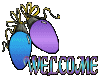 Welcome(Animated)