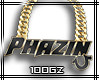 |gz| phazin custom 