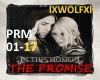 THE PROMISE