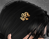 Nk5.dragon-hairpin