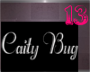 Caity bug wall sign