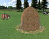(S)Farm haystack