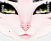 . Bork | Septum
