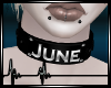 + June Collar F