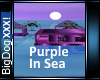 [BD]PurpleInSea