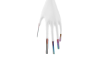 𝕍𝔻 ★ HoloNails