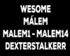 WESOME - Malem