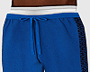 Velour Blue Shorts