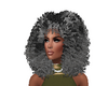 Gray curl fro