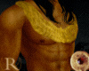 GldNight Prince BCollar