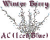 Winter Berry Iced Blue