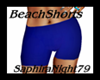 Ocean Beach Shorts