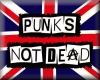 Punks Not Dead