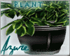 *A* Lux Home Plant 2