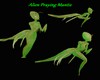 AO~Mantis Alien Top