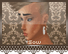 Sow | Brown Zit3