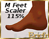 [Efr] Feet Scaler M 115