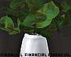 Minimal Plant Vase