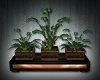 Romantic Plants Set