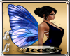 Butterfly Blue Wings