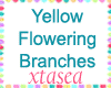 Yellow Flowering Branch