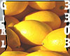 *Girl3303* Lemons Shoot
