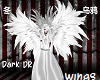 Dark| Angel Wings