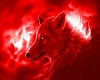 SpRqt - Red Wolf Club