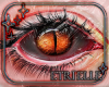 Dragon Eyes v2 Unisex