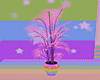Pastel Rainbow Plant