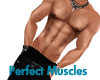 Perfect Muscles Male